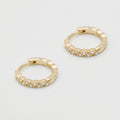 Ellington - Kasia Huggie Earrings